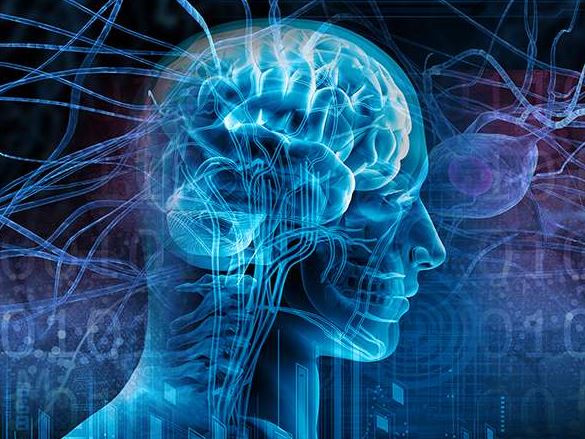Fibro-brain